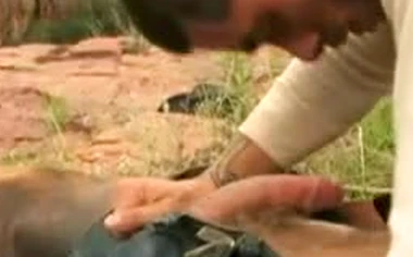 cowboy flick need name of movie