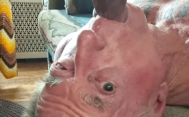 Key West swallowing Pedros huge cock